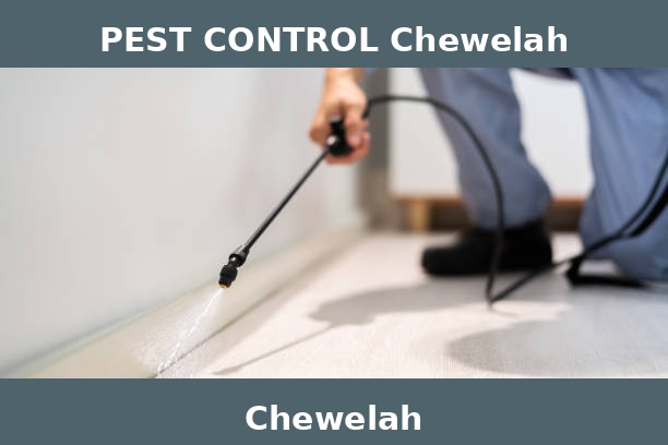PEST CONTROL Chewelah